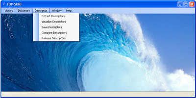 The TOP-SURF GUI